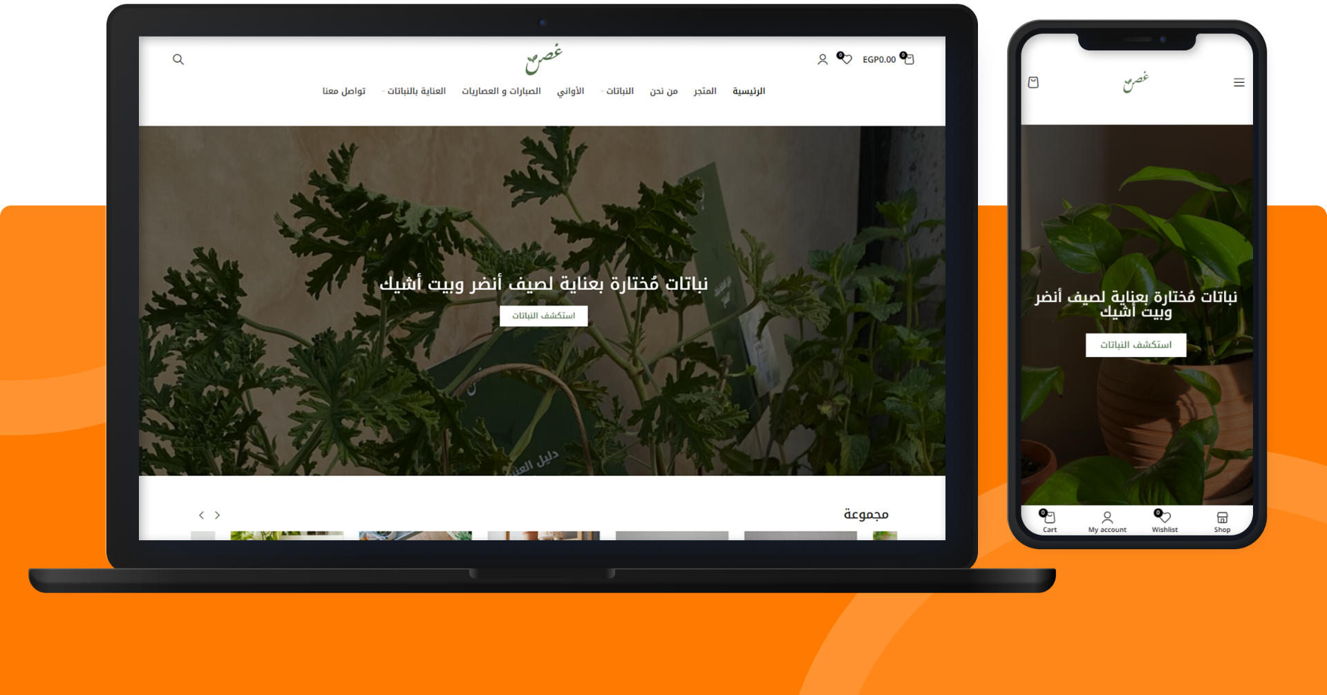 Ghosn Website
